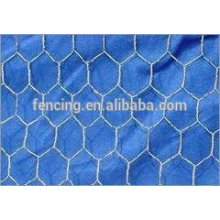 Hot Sale PVC and Galvanized Hexagonal Wire Mesh